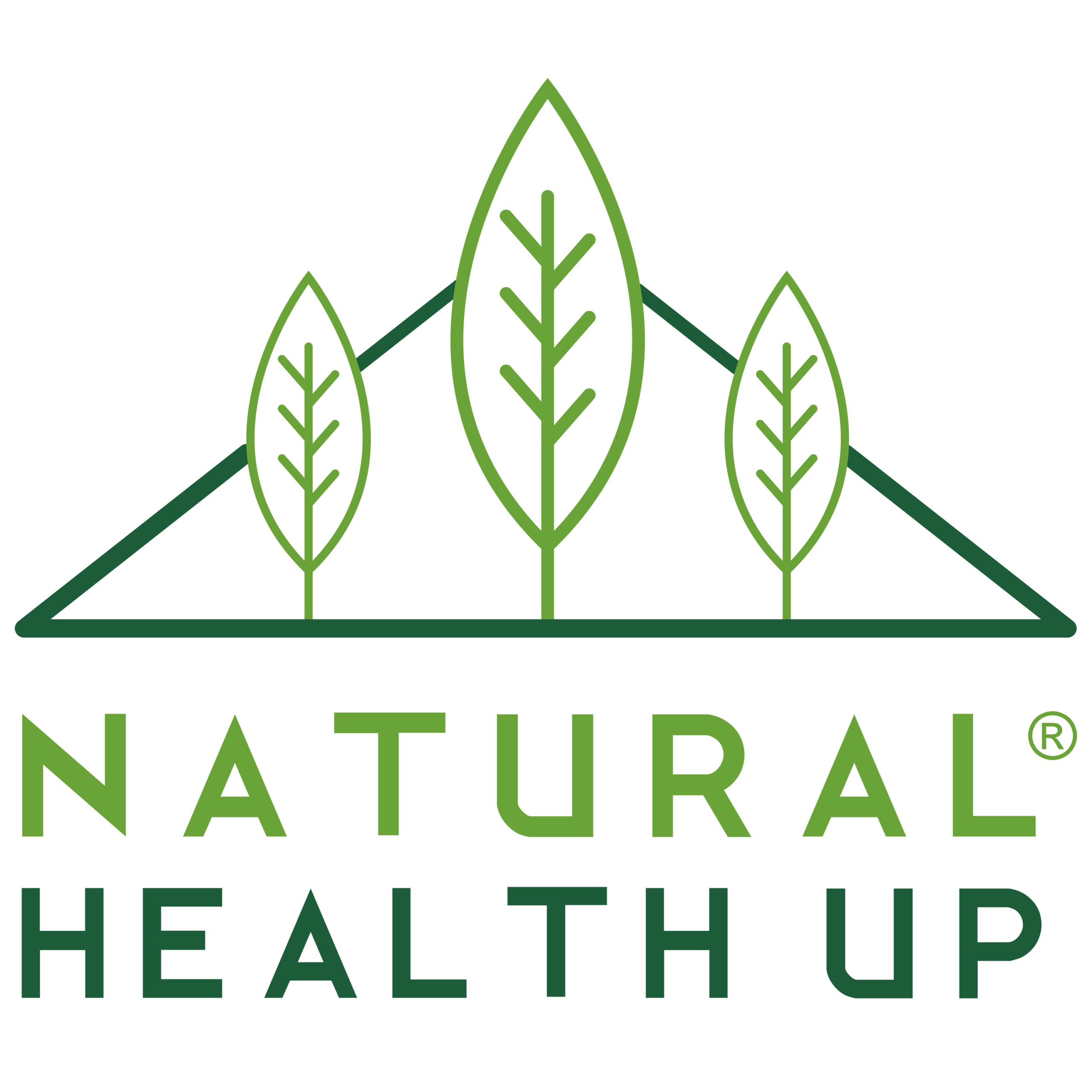 Logo Natural Health up Suplementos alimenticios elaborados en laboratorios europeos